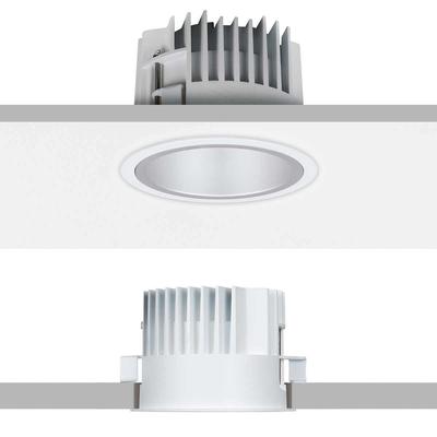 DOWNLIGHT ARENA 100, reflector silver, 30°, NW