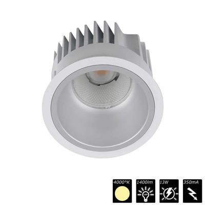 DOWNLIGHT ARENA 100, reflector silver, 30°, NW