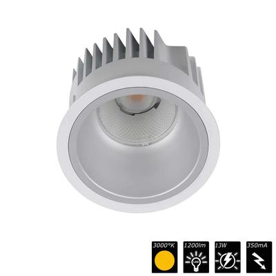 DOWNLIGHT ARENA 100, REFLEKTOR silber, 30°, WW