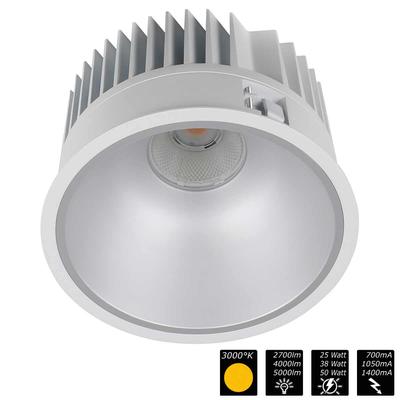 DOWNLIGHT ARENA 200, REFLEKTOR silber, 20°, WW