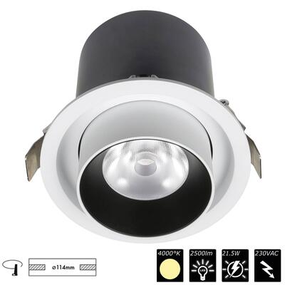 DOWNLIGHT CUCKOO 120 38° (20°), NW