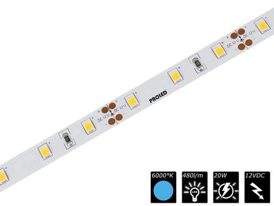 FLEX STRIP 300 MONO 12VDC CW 5m