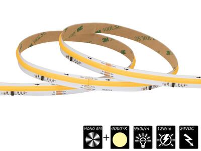 FLEX STRIP DIGITAL COB&CSP MONO NW, 360LED - P36 - 12W, 24V, 5m