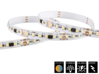 FLEX STRIP HP-600 DIGITAL CCT (2700-6500K) - 120LED - P20 - 24V, 5m