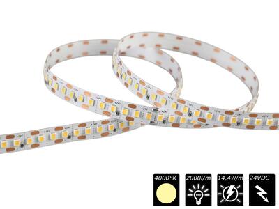 FLEX STRIP HP-800 FREE-CUT MONO NW 5m 