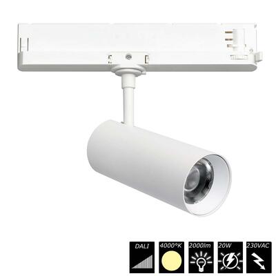 TRACKLIGHT JAY 55 20W DALI 32° (20°, 40°, 55°), white, NW