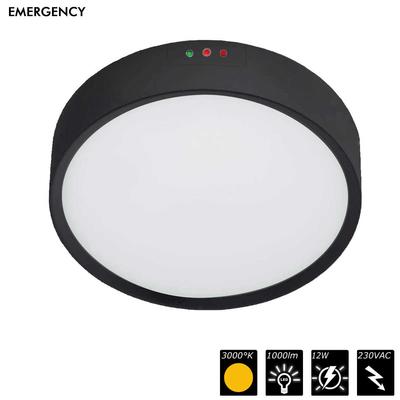 MOON 250 PREMIUM EMERGENCY, IP65, 230VAC, schwarz, 3000°K