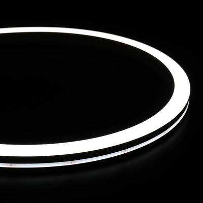NEON FLEX 1616 SIDE 24V 15W SWW per m