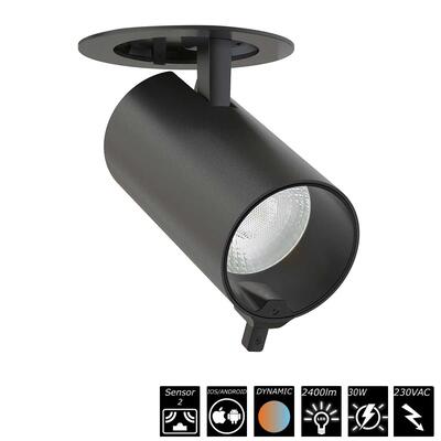 SMART RECESSED SPOT DUAL SENSOR - 30W, 230VAC, 20°, schwarz, Auto CCT