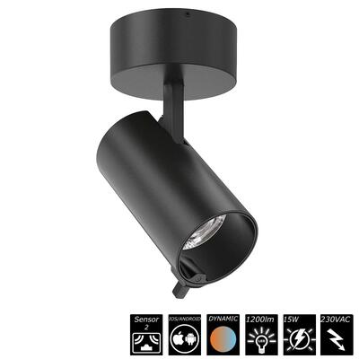 SMART SURFACE SPOT DUAL SENSOR - 15W, 230VAC, 20°, schwarz, Auto CCT