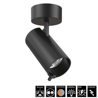 SMART SURFACE SPOT DUAL SENSOR - 30W, 230VAC, 20°, schwarz, Auto CCT