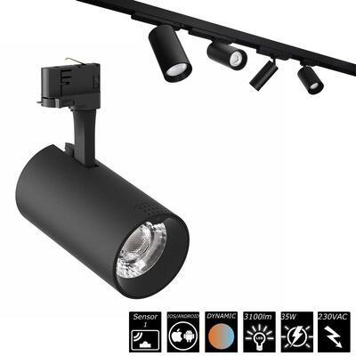 SMART TRACKLIGHT - 35W, 230VAC, 40°, schwarz, CCT