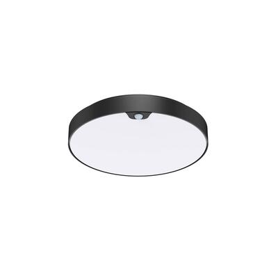 MOON ECLIPSE 250 - CCT PIR - 2700/3200/4000°K, schwarz