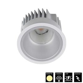 DOWNLIGHT ARENA 100, reflector silver, 30°, NW