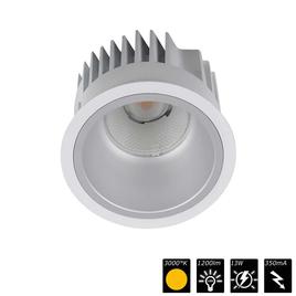 DOWNLIGHT ARENA 100, reflector silver, 55°, WW