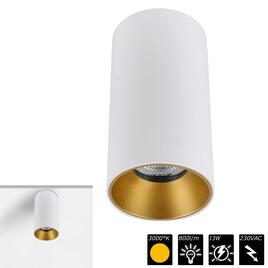 FLEXIO SURFACE, weiss > gold, 25°, WW