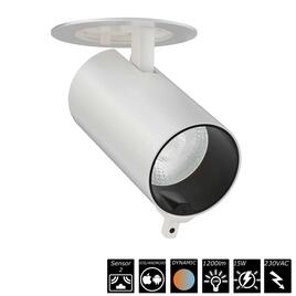 SMART RECESSED SPOT DUAL SENSOR - 15W, 230VAC, 20°, weiss, Auto CCT