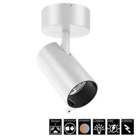 SMART SURFACE SPOT DUAL SENSOR - 15W, 230VAC, 20°, weiss, Auto CCT