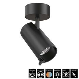 SMART SURFACE SPOT DUAL SENSOR - 30W, 230VAC, 36°, schwarz, Auto CCT