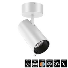 SMART SURFACE SPOT DUAL SENSOR - 30W, 230VAC, 20°, weiss, Auto CCT